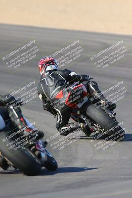 media/Nov-12-2023-SoCal Trackdays (Sun) [[5d1fba4e7d]]/Turn 10 Backside (115pm)/